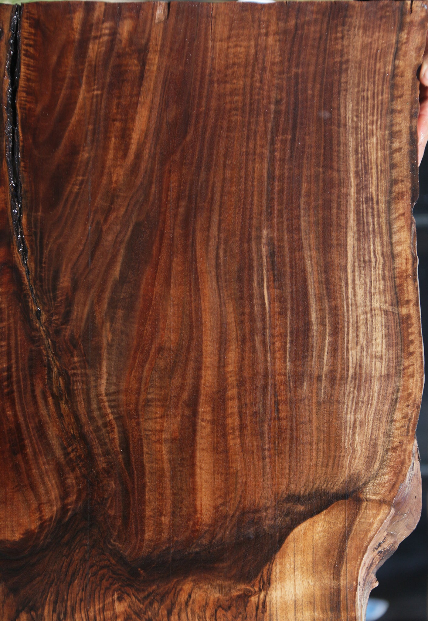 Exhibition Grafted Claro English Walnut Live Edge Slab (Free Shipping Excluded)