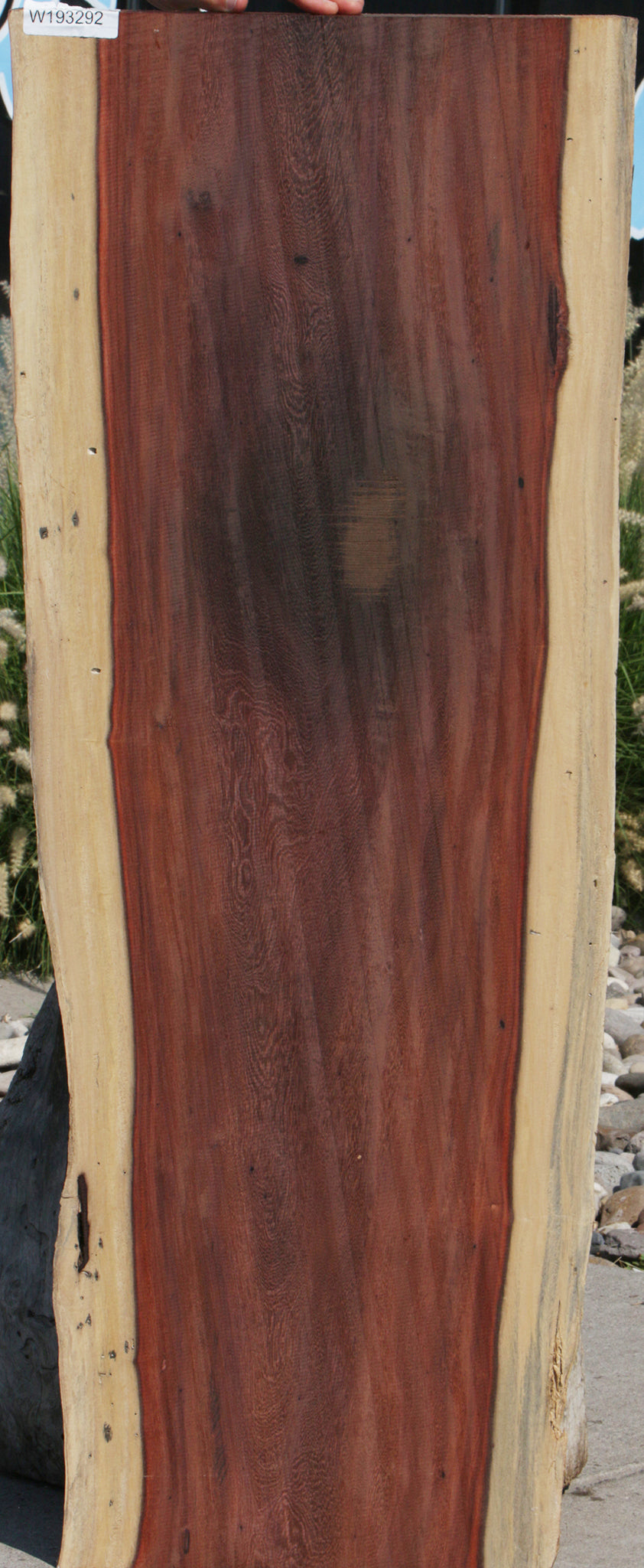 Katalox Live Edge Lumber