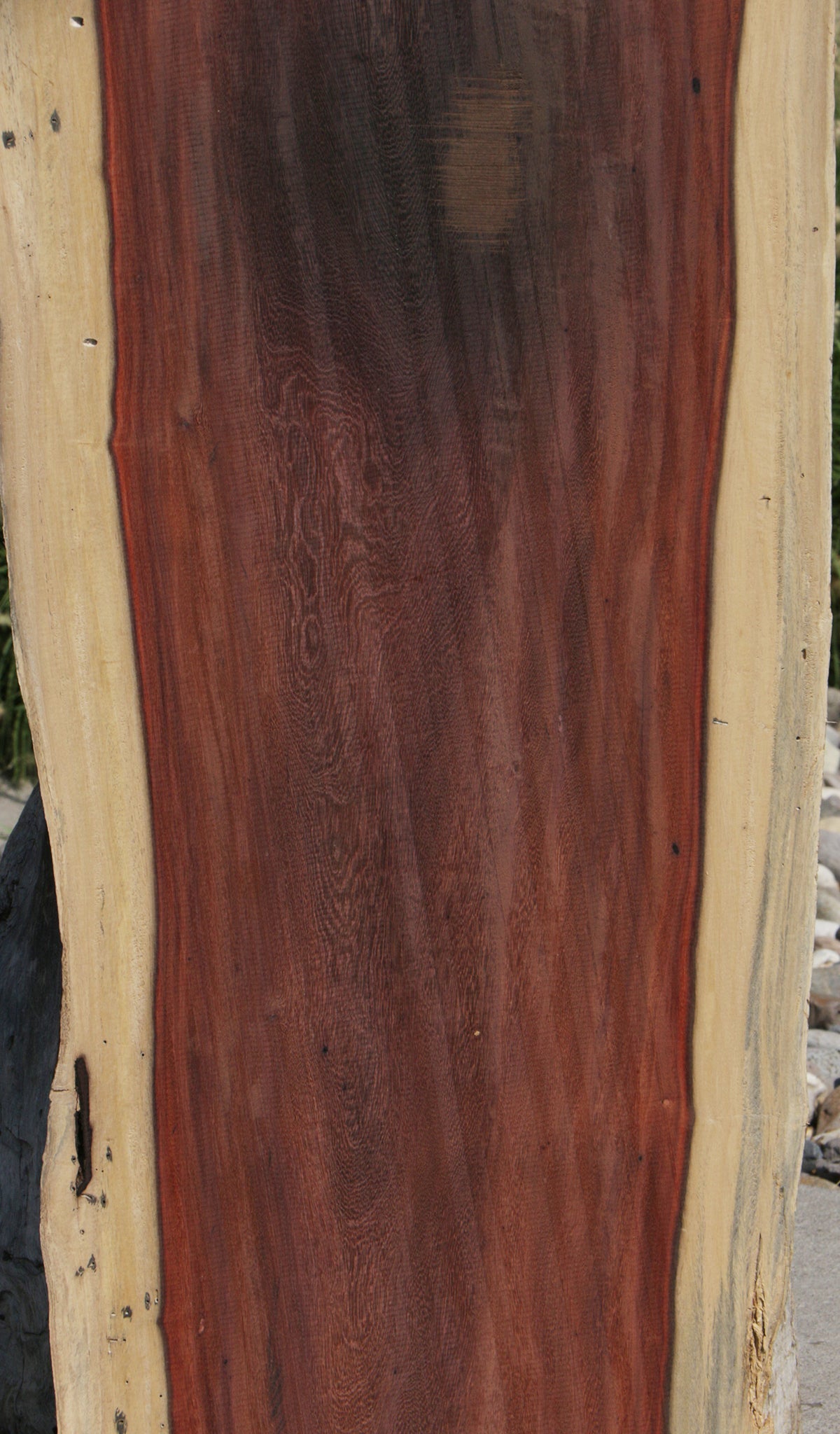 Katalox Live Edge Lumber