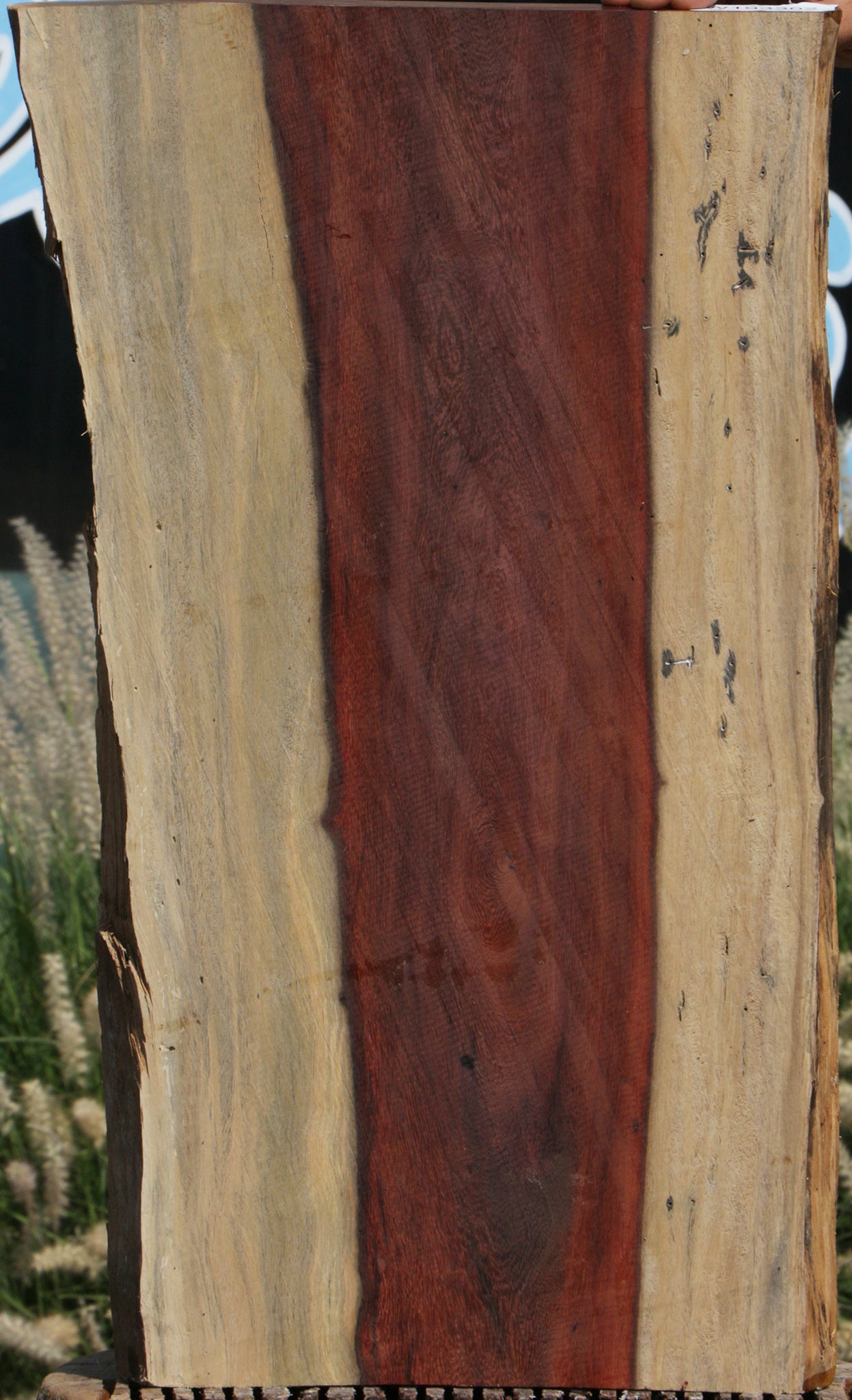 Katalox Live Edge Lumber