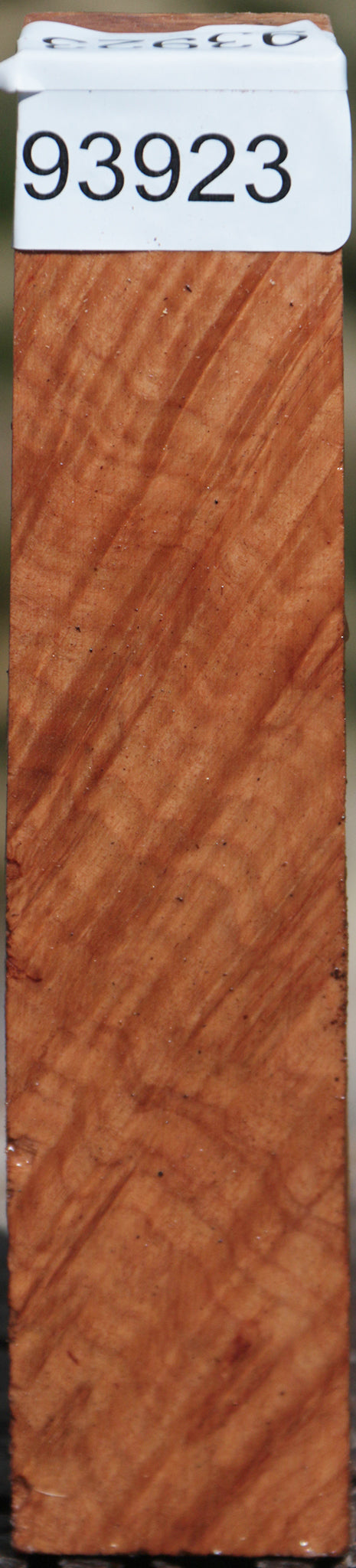 Extra Fancy Brown Coolibah Burl Turning Square