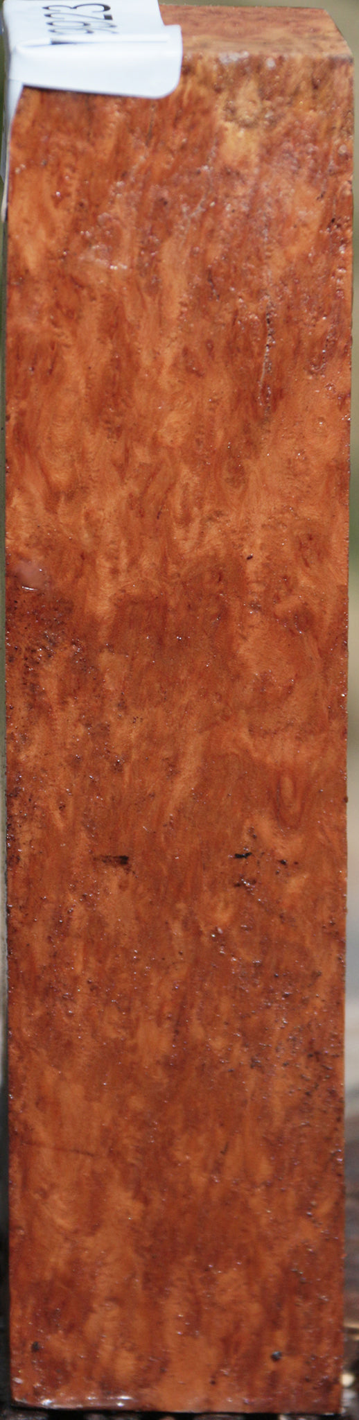 Extra Fancy Brown Coolibah Burl Turning Square