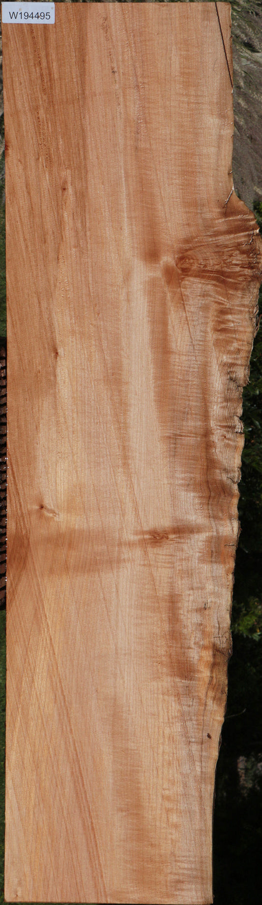 Western Maple Live Edge Lumber