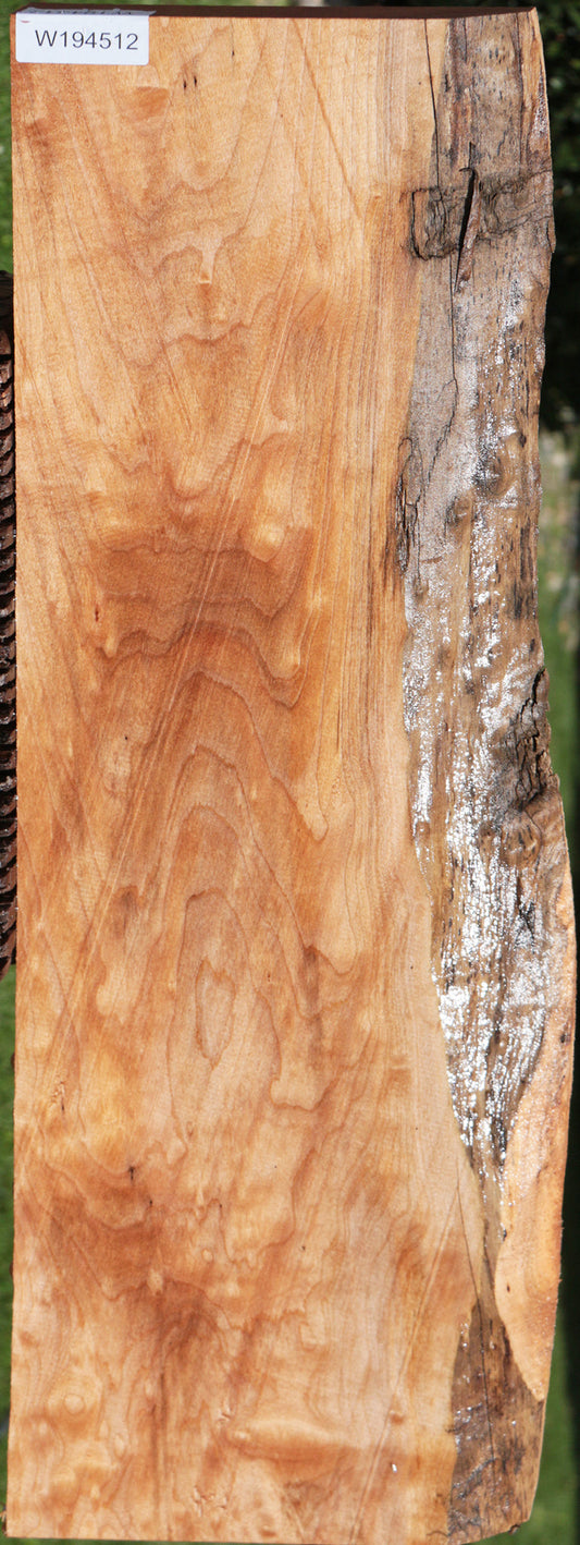 Western Maple Live Edge Lumber