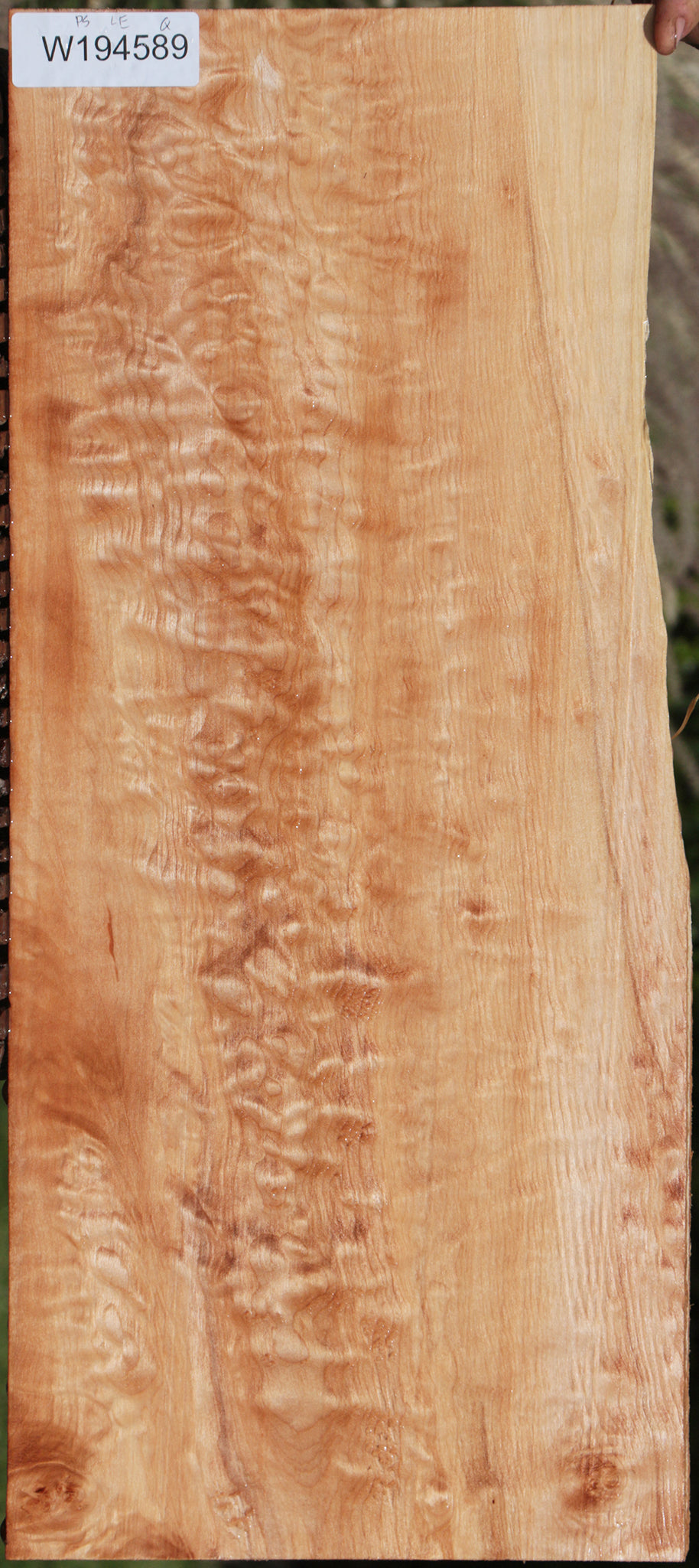 Quilted Western Maple Live Edge Lumber