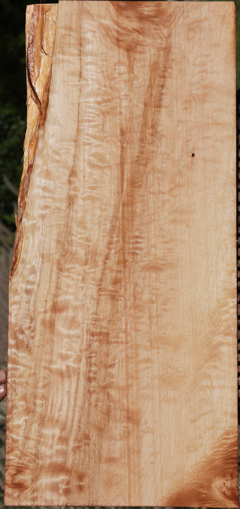 Quilted Western Maple Live Edge Lumber