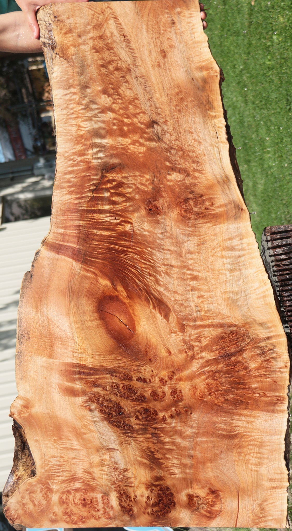 Extra Fancy Western Maple Burl Live Edge Slab