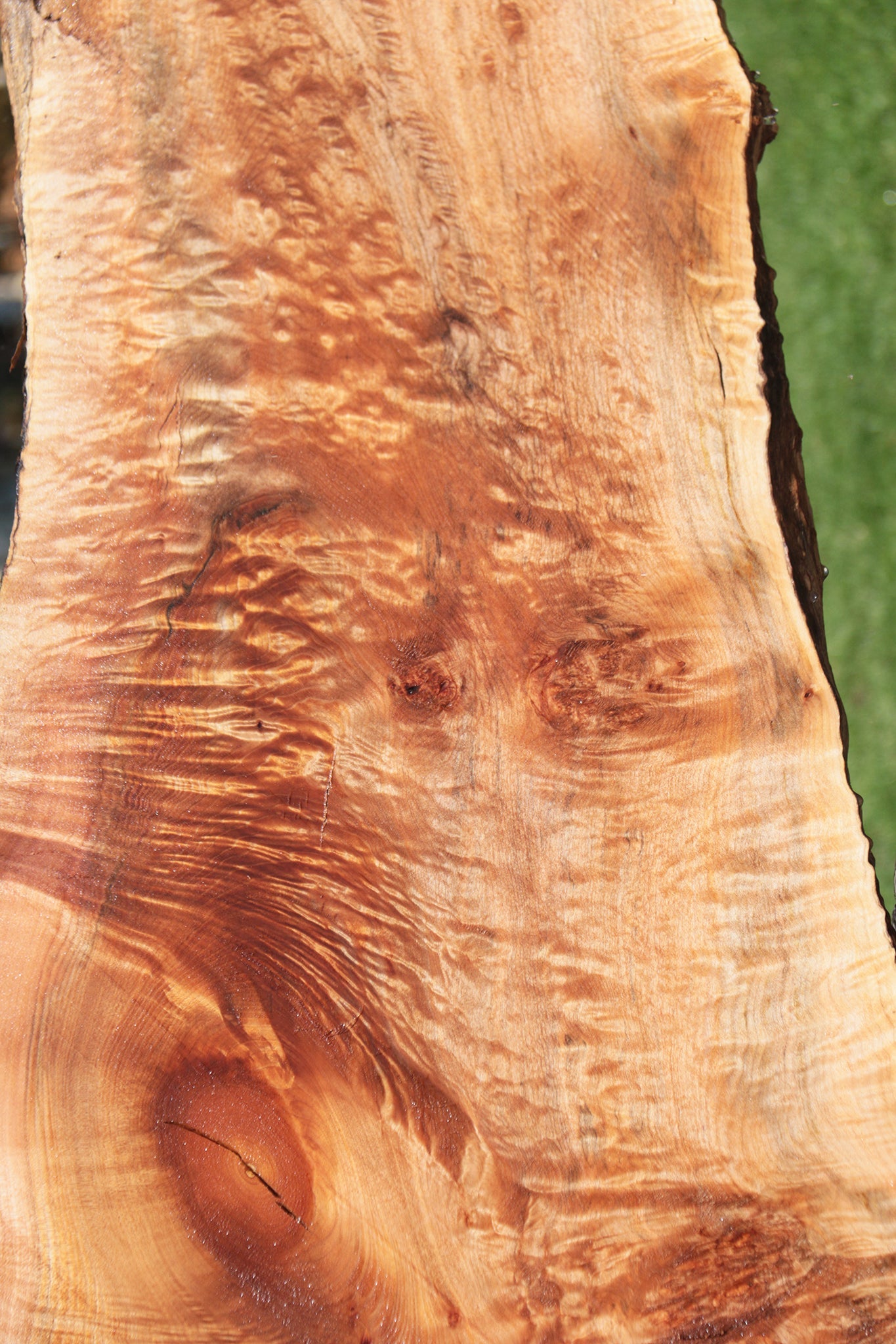 Extra Fancy Western Maple Burl Live Edge Slab