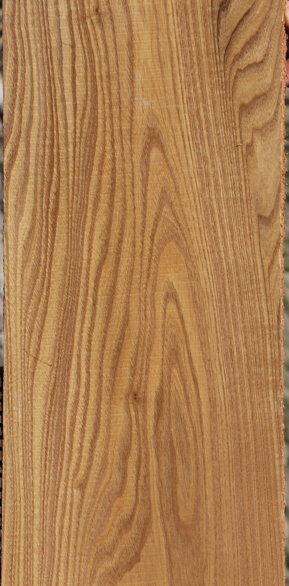 Catalpa Lumber