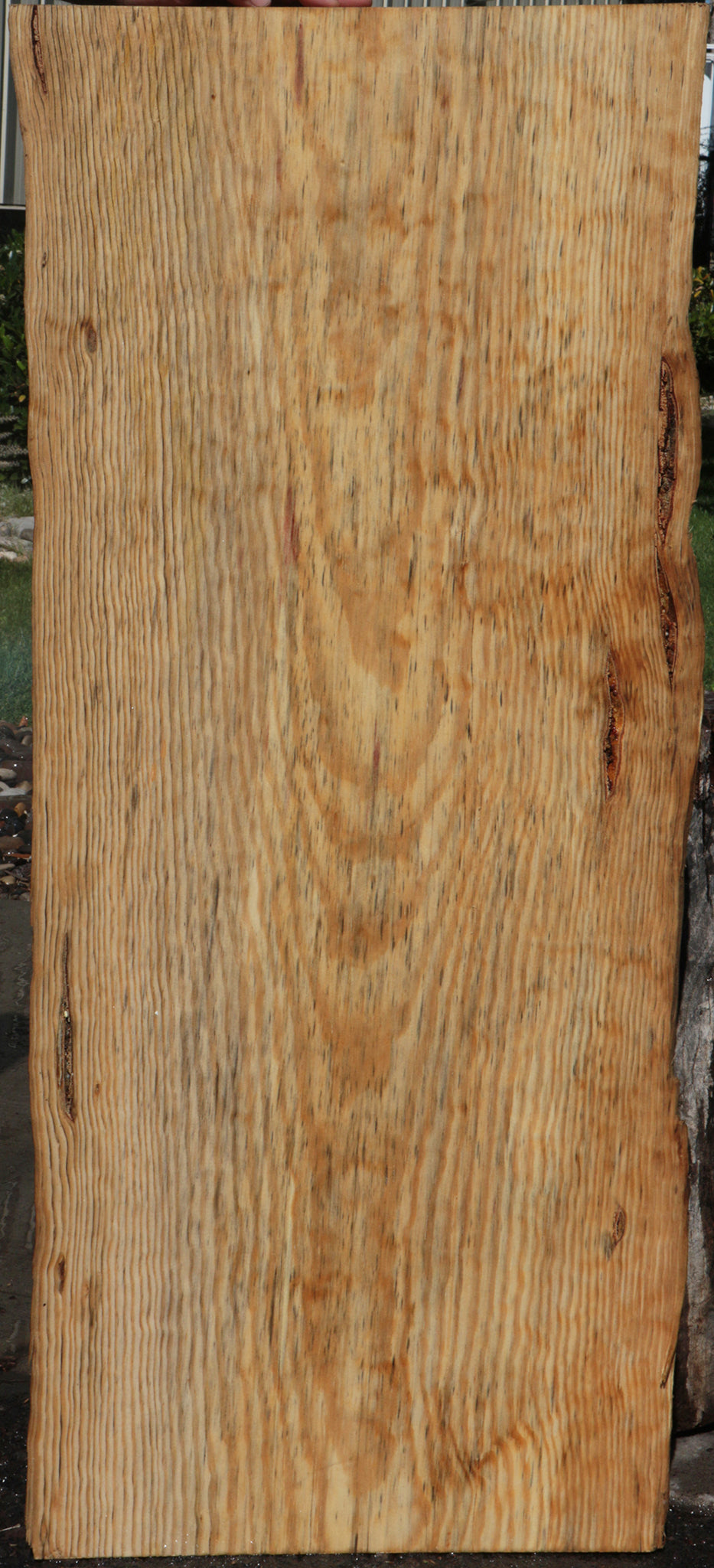 Rustic Blue Pine Slab