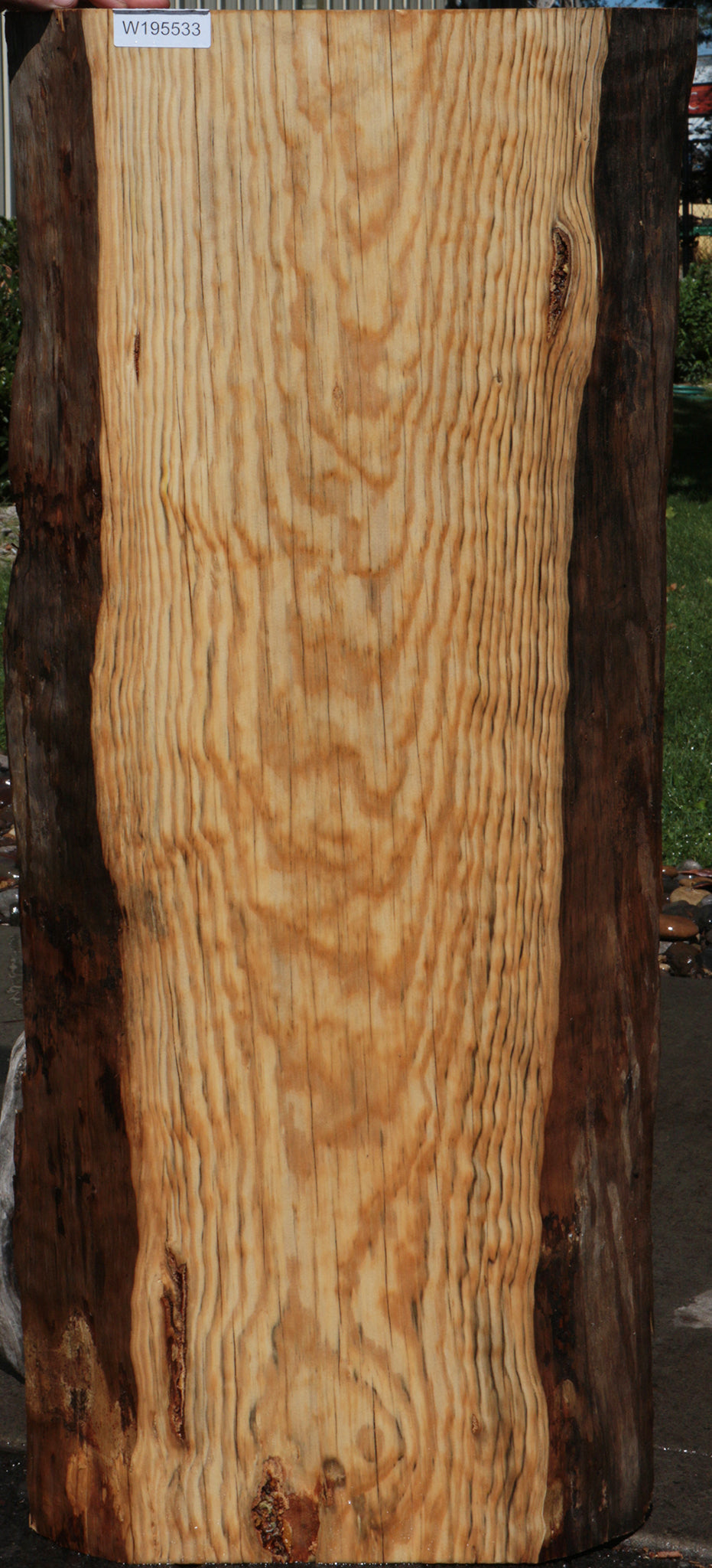 Rustic Blue Pine Slab