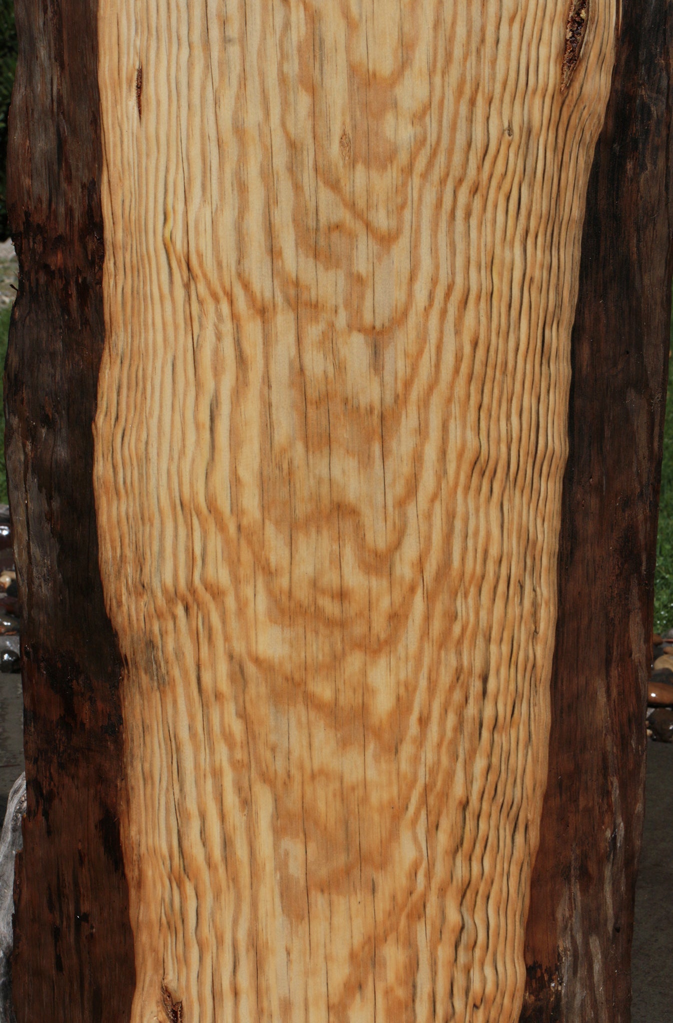 Rustic Blue Pine Slab