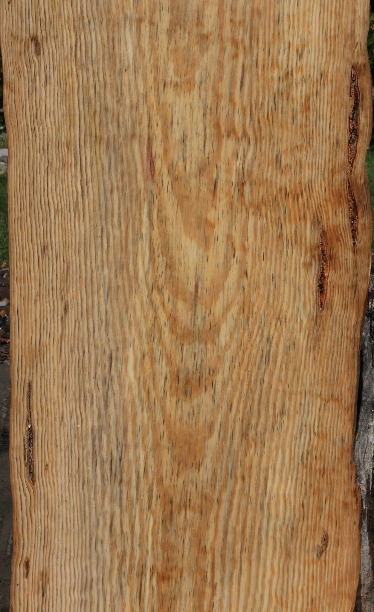 Rustic Blue Pine Slab