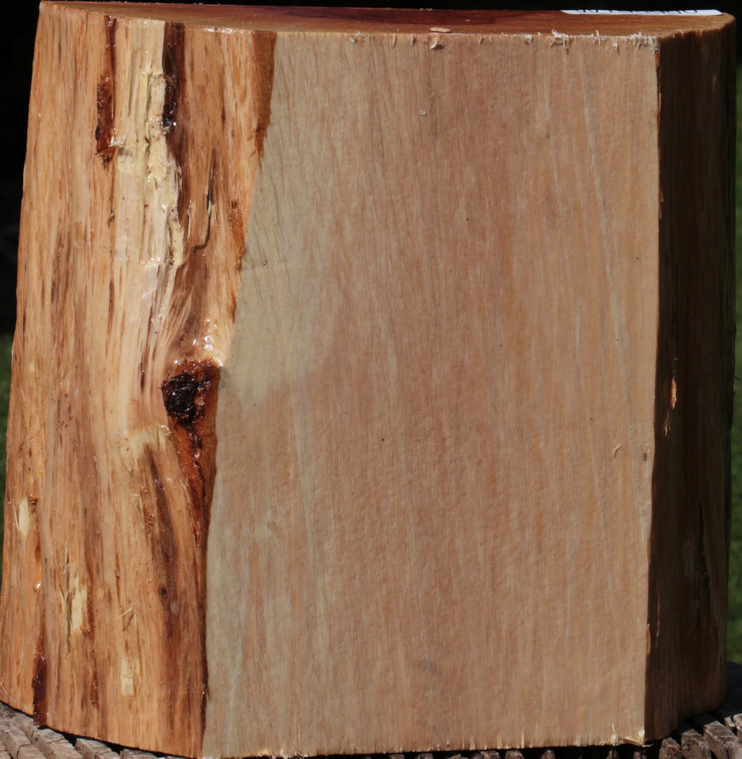 Beefwood Live Edge Bowl Blank