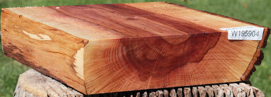 Beefwood Live Edge Bowl Blank