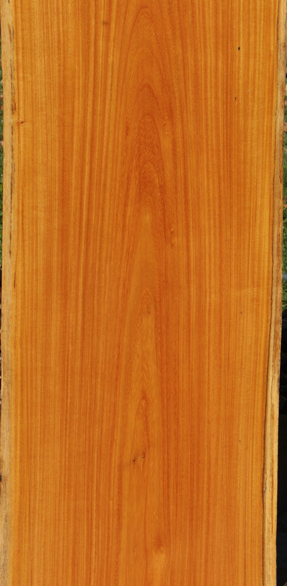 Spalted Argentine Osage Orange Live Edge Lumber