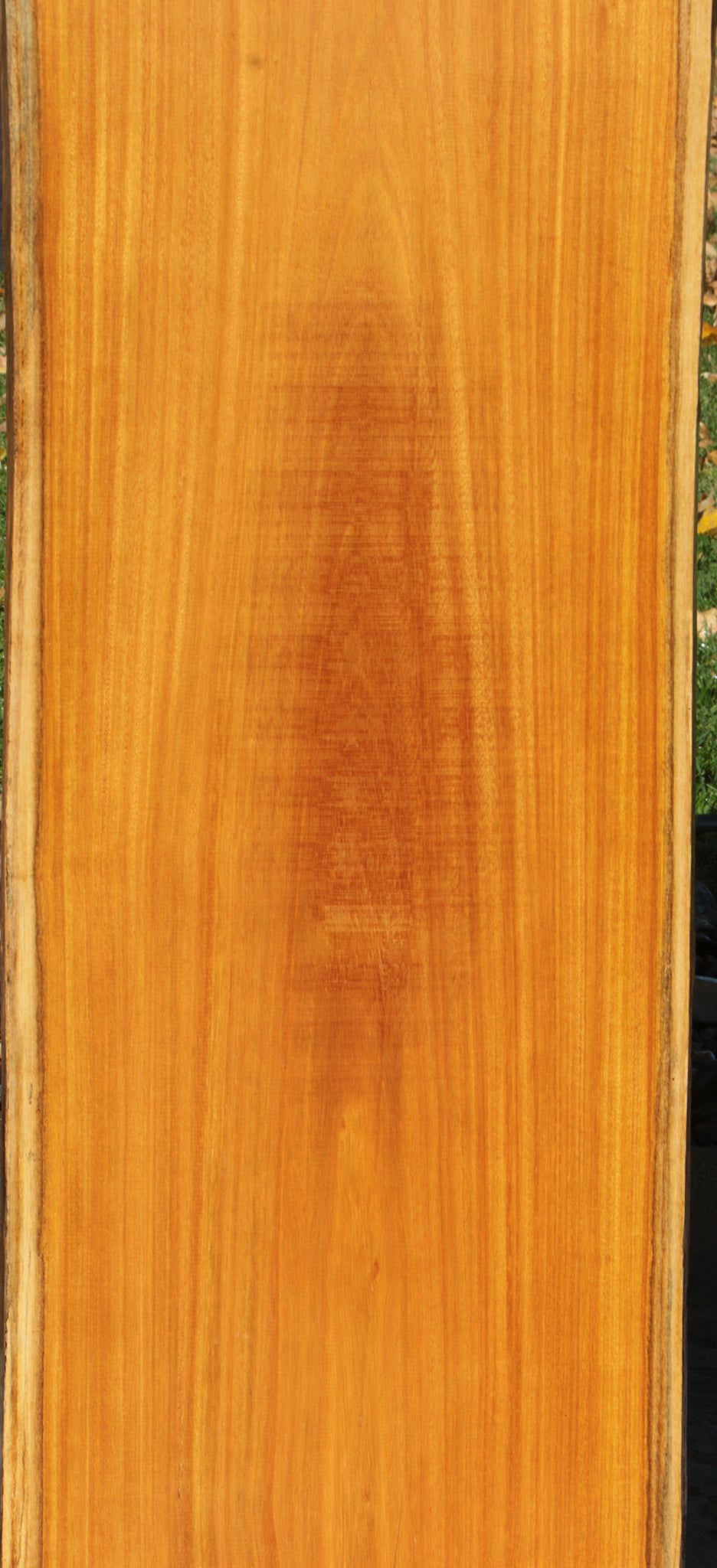 Spalted Argentine Osage Orange Live Edge Lumber