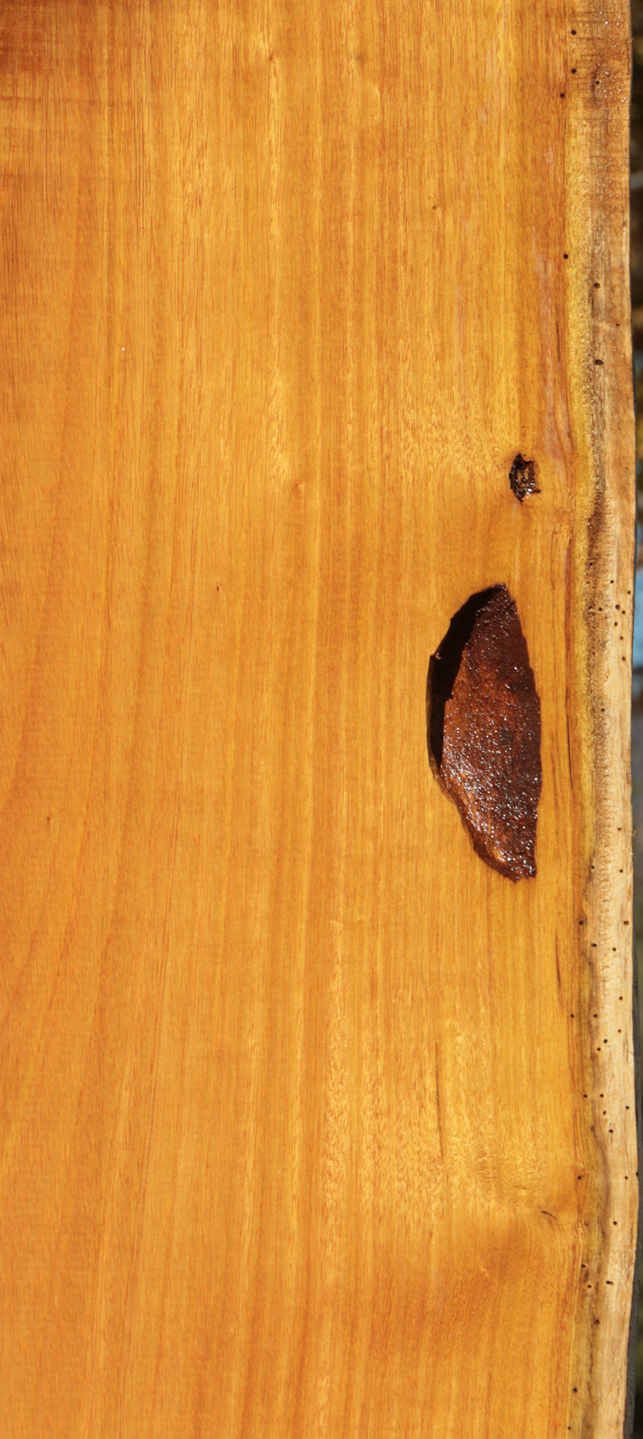 Spalted Argentine Osage Orange Live Edge Lumber