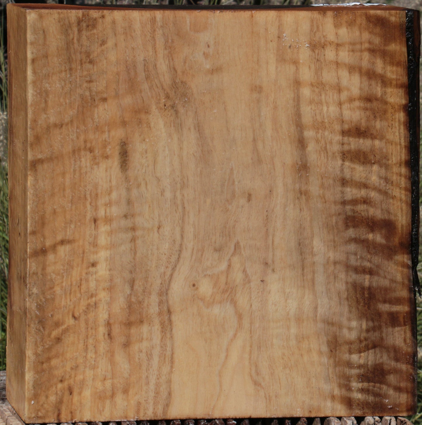 Extra Fancy English Walnut Bowl Blank