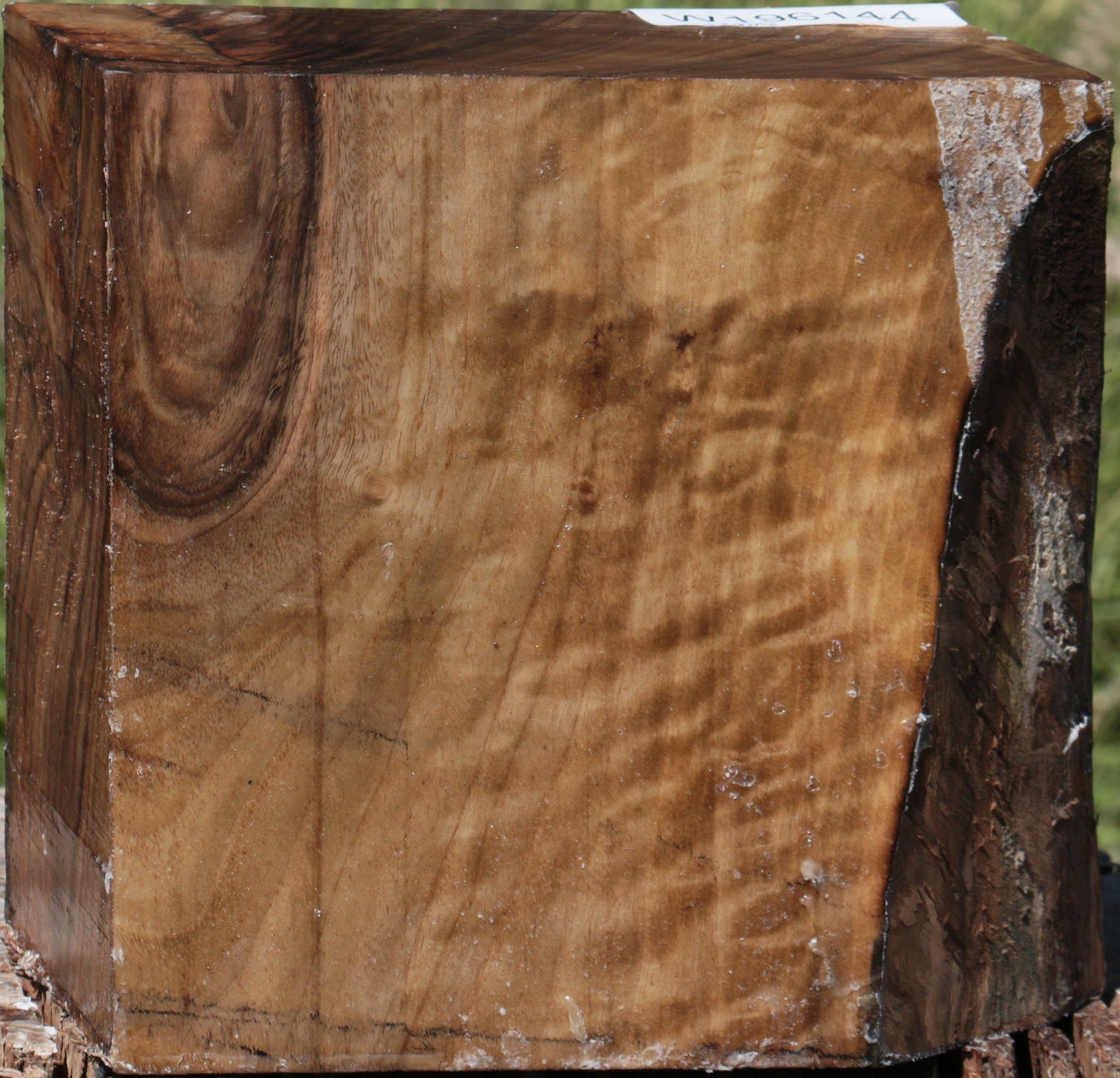 Extra Fancy English Walnut Bowl Blank