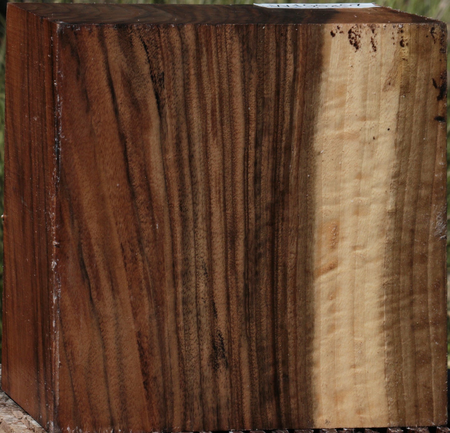 Extra Fancy English Walnut Bowl Blank