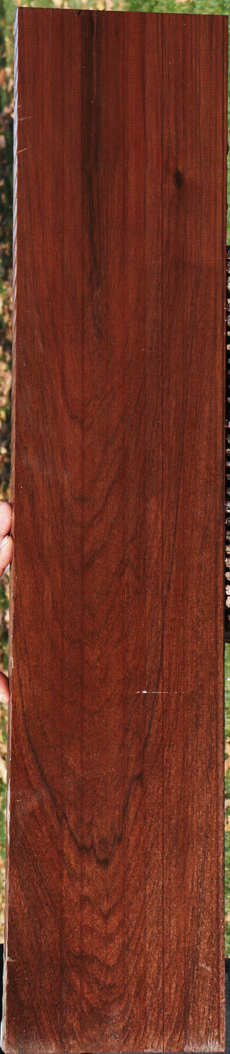 Peruvian Walnut Lumber – Cook Woods