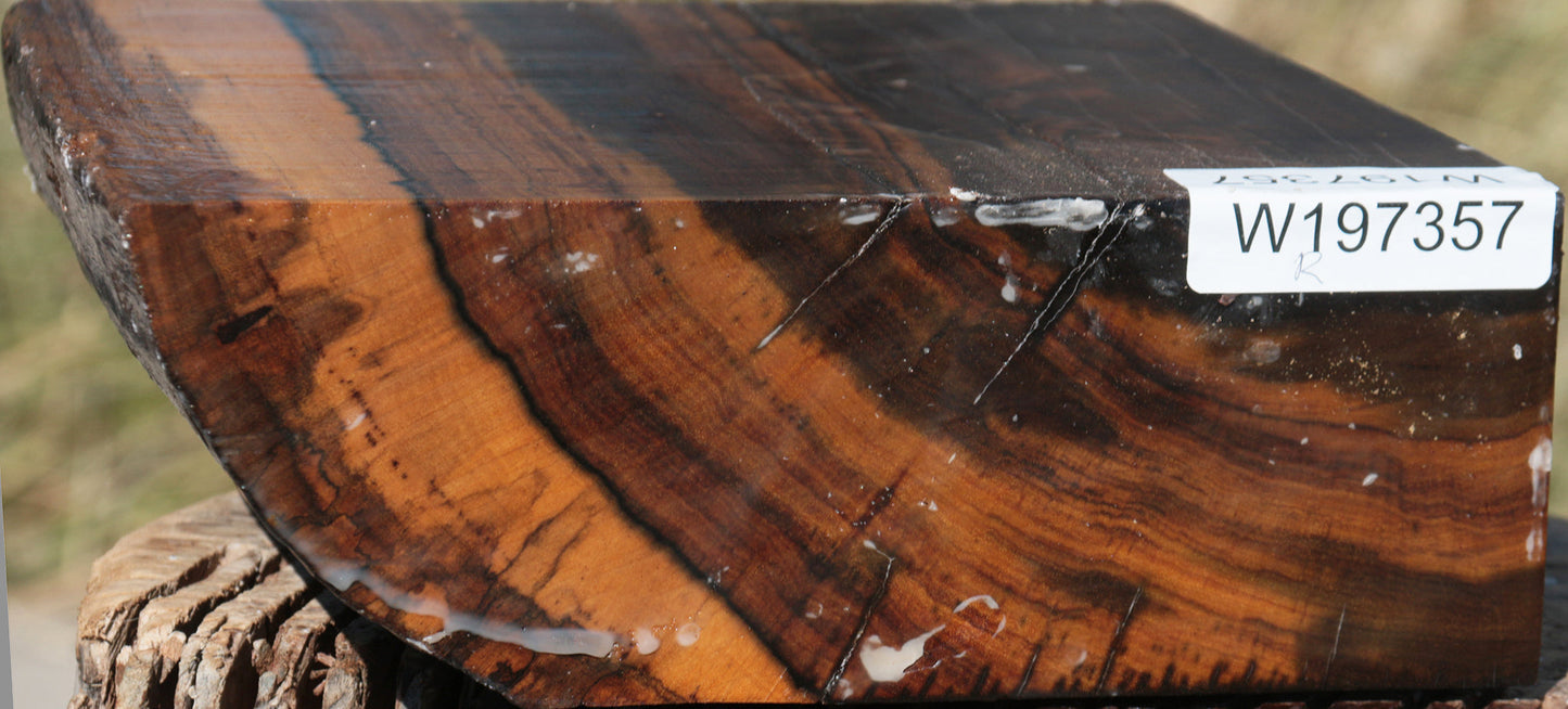 Rustic Brazilian Blackheart Live Edge Bowl Blank