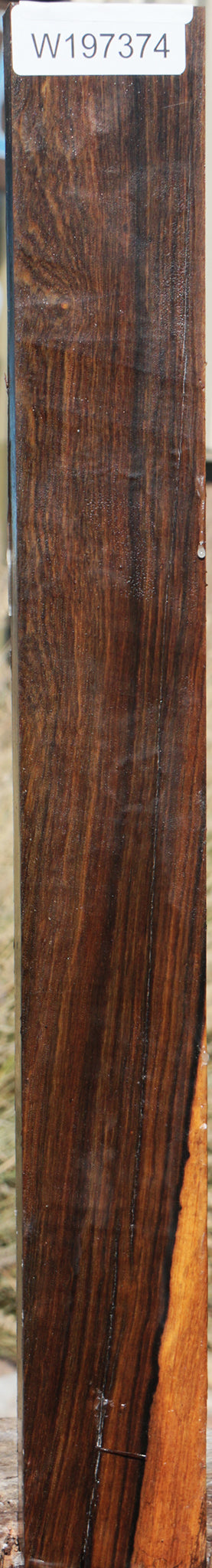 Rustic Brazilian Blackheart Turning Blank