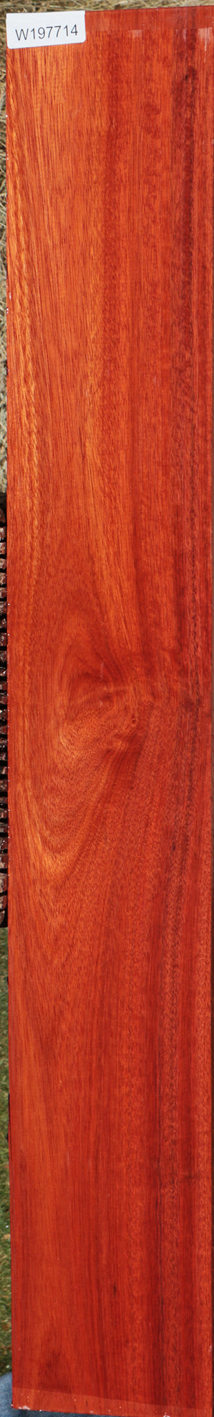 Bloodwood Lumber