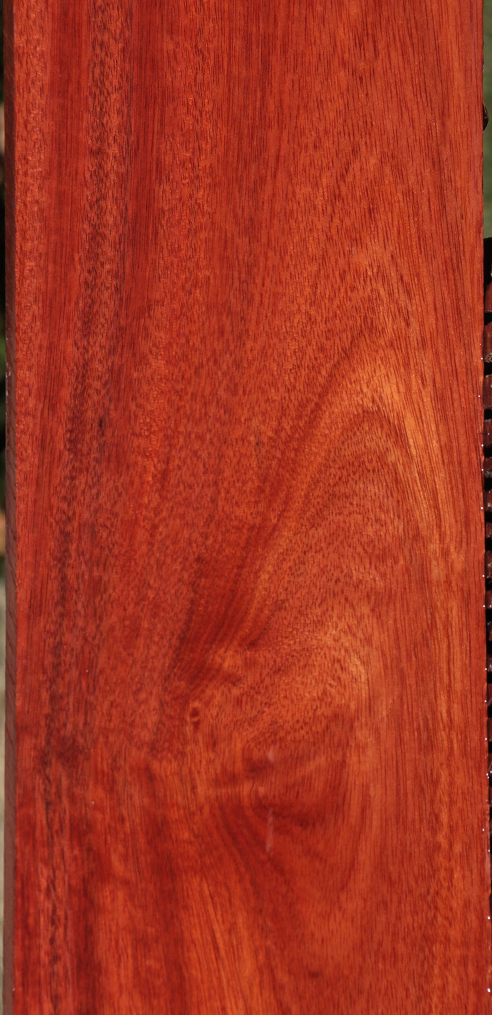 Bloodwood Lumber