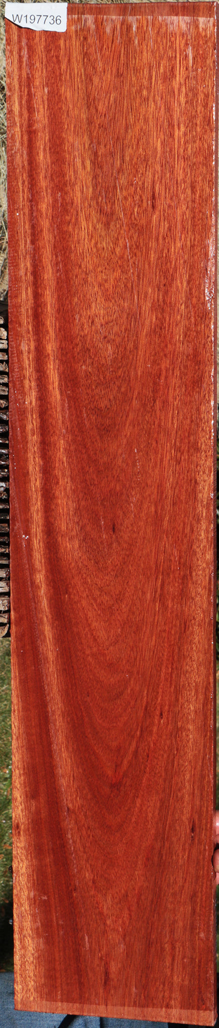 Bloodwood Lumber