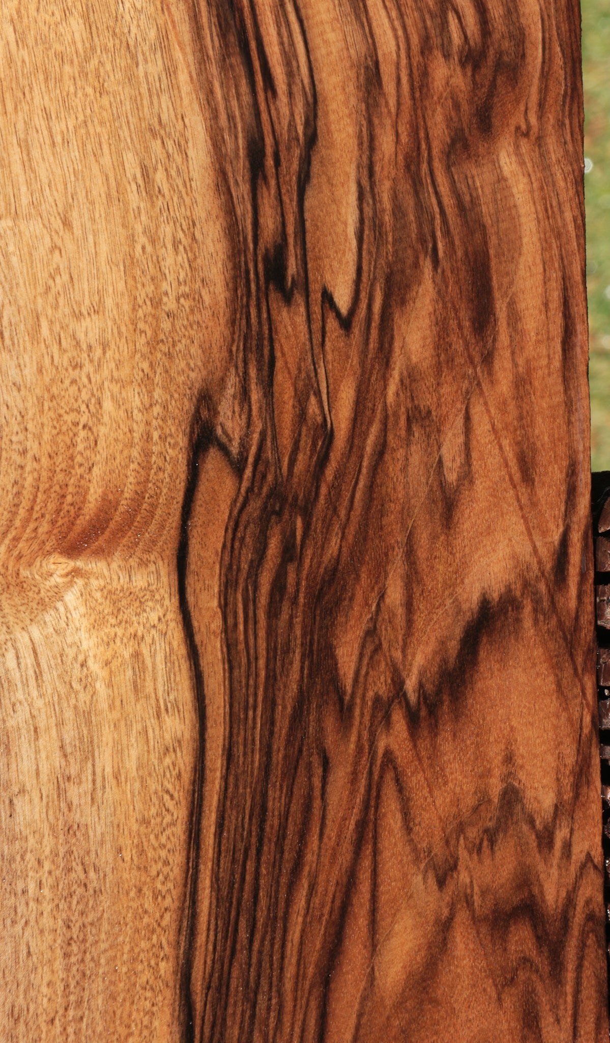 Exhibition English Walnut Lumber