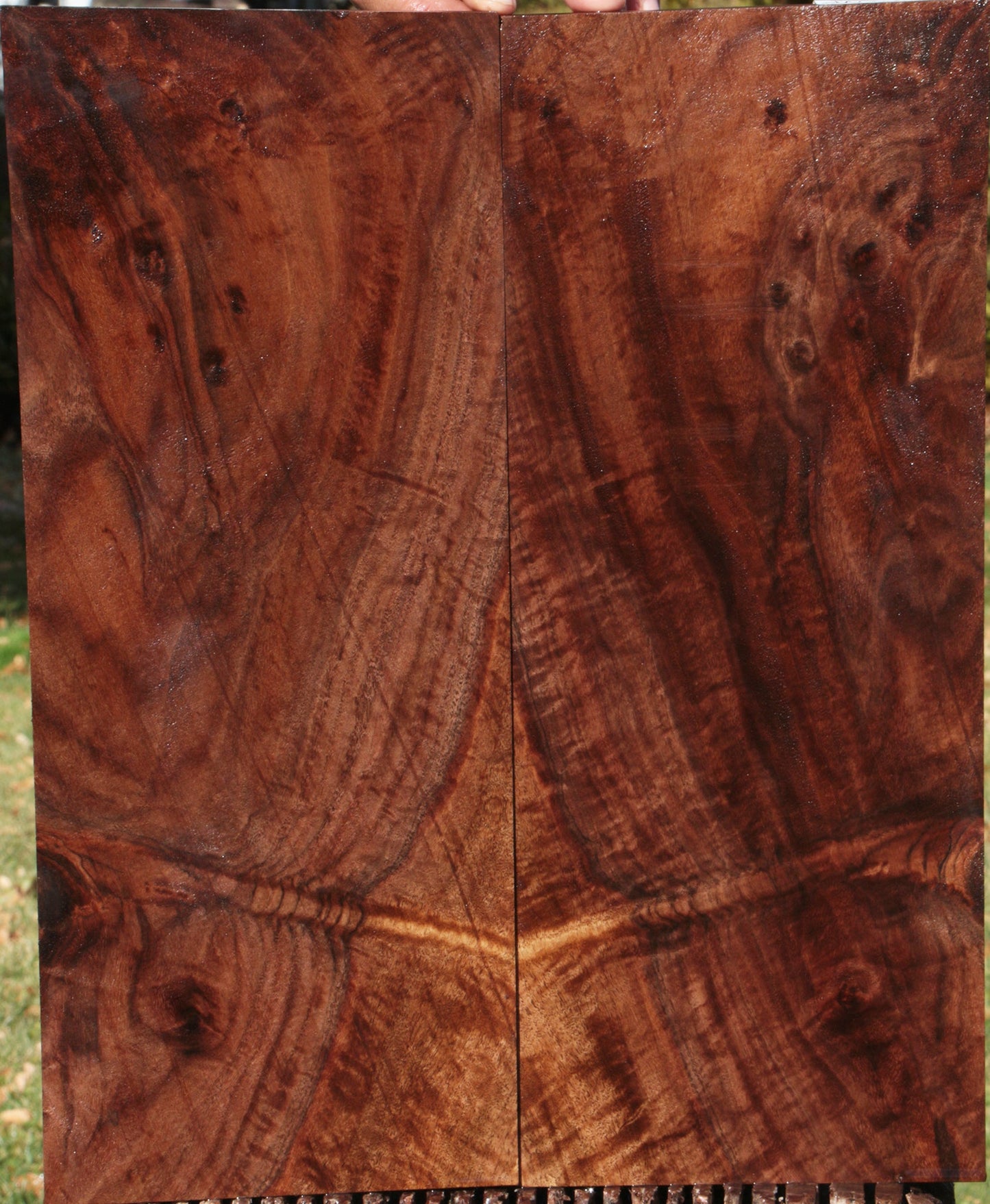 Claro Walnut Lumber