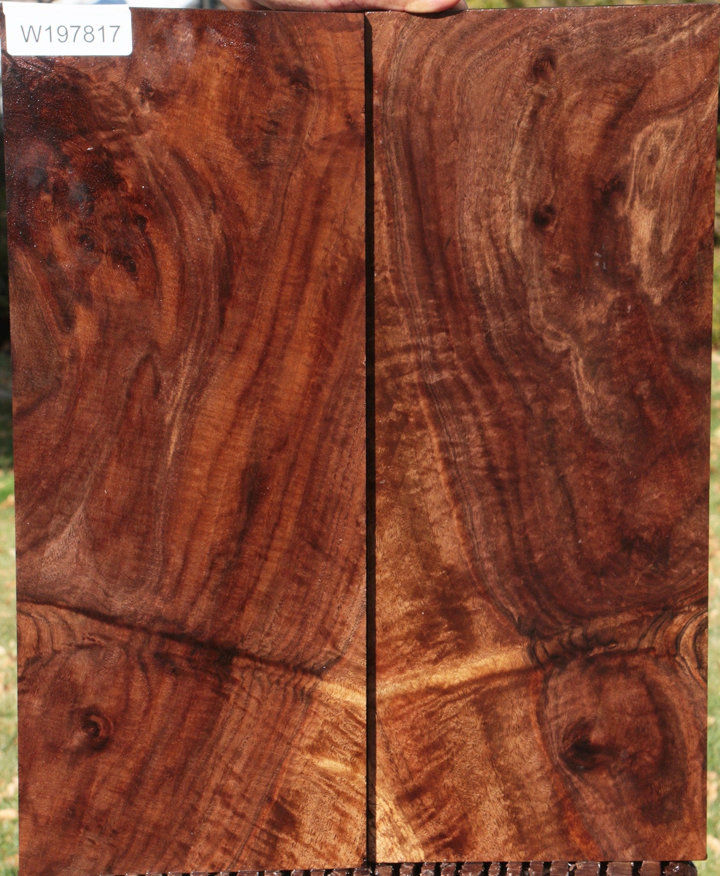 Claro Walnut Lumber