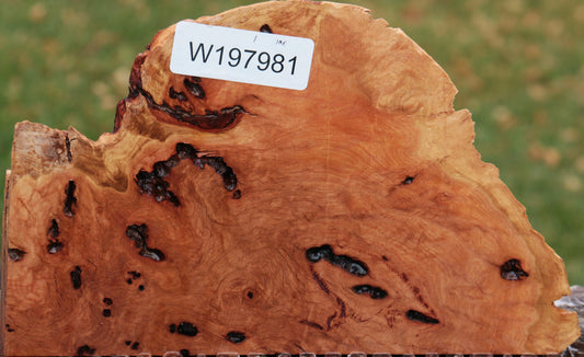 Red River Gum Burl Live Edge Lumber