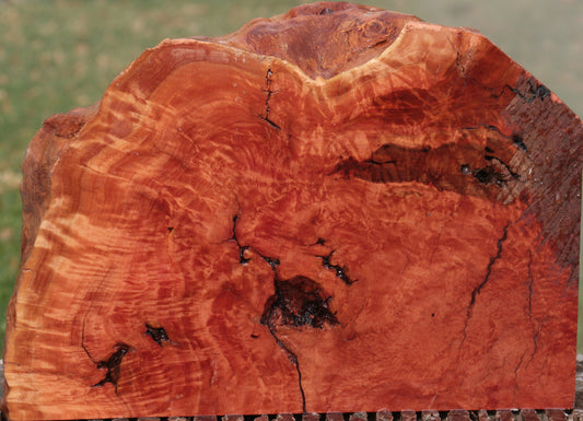 Red River Gum Burl Live Edge Lumber