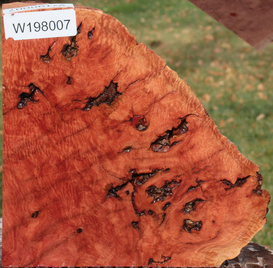 Red River Gum Burl Live Edge Lumber