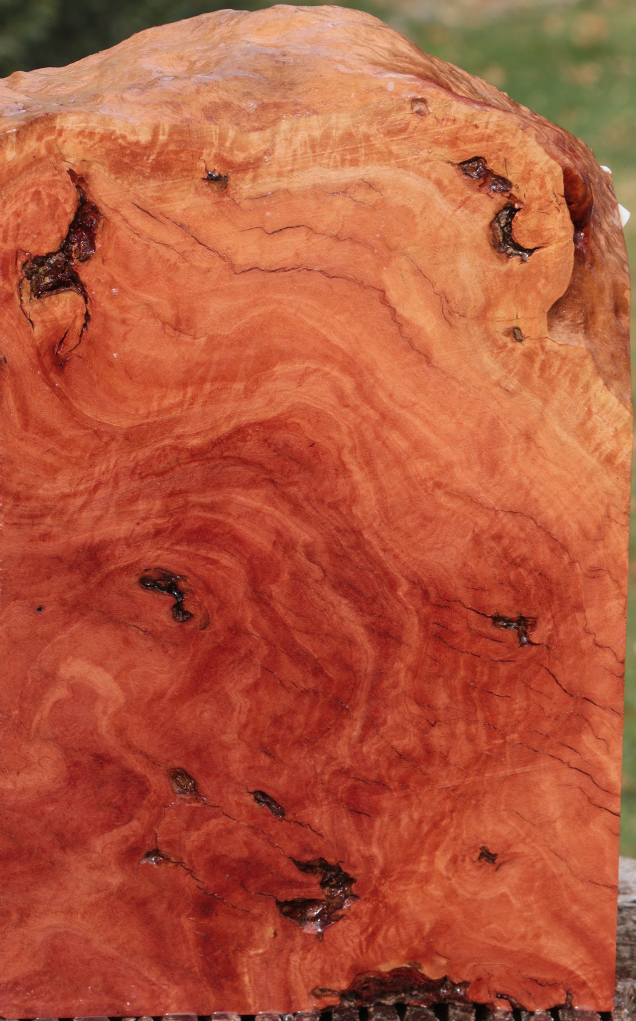 Red River Gum Burl Live Edge Lumber