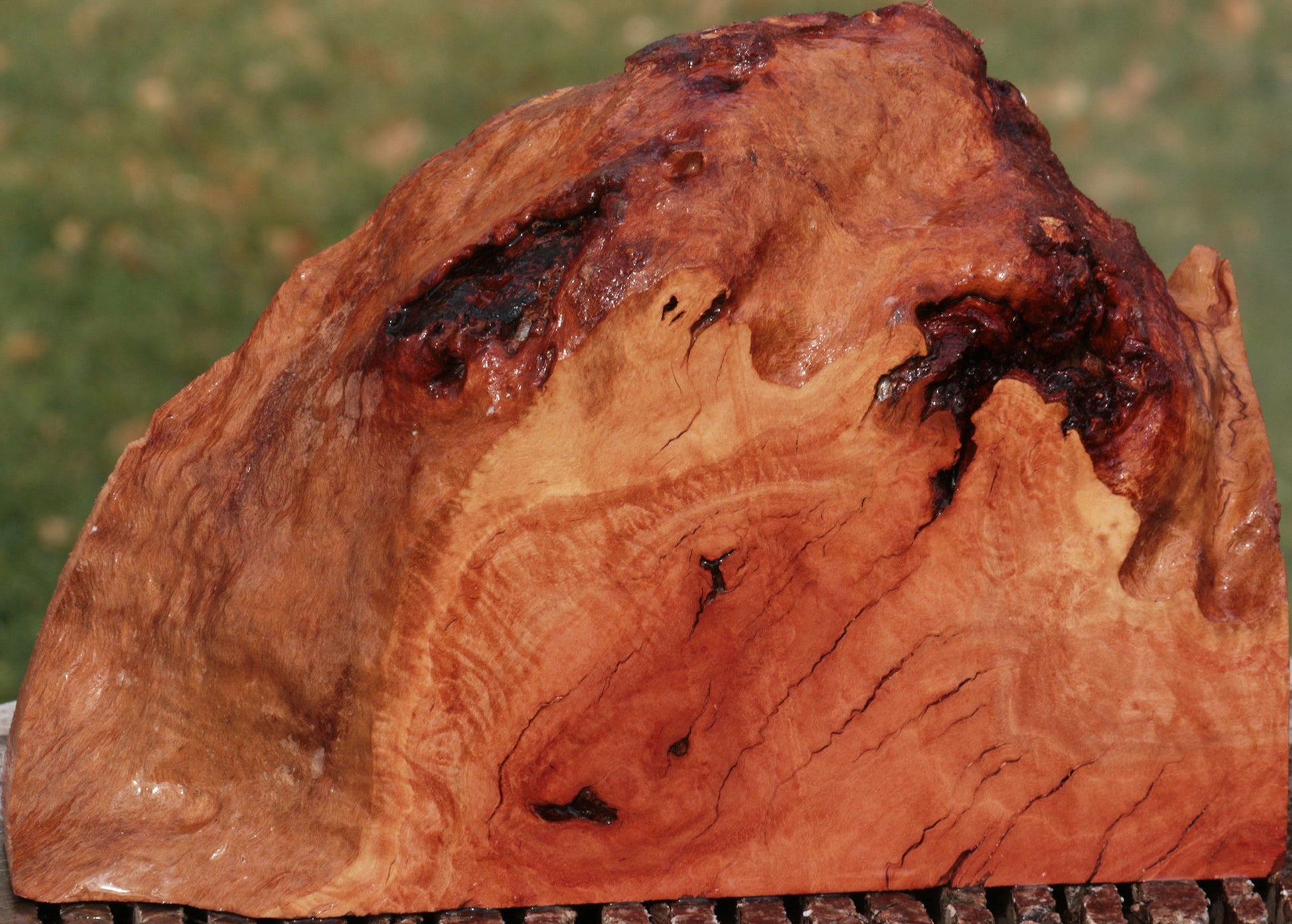 RED GUM BURL Wood Very Rare, Blank for woodworking, turning