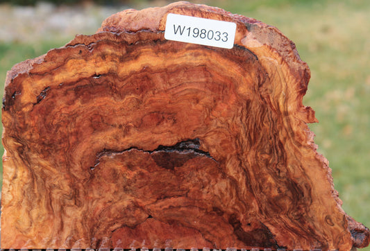 Red River Gum Burl Live Edge Lumber