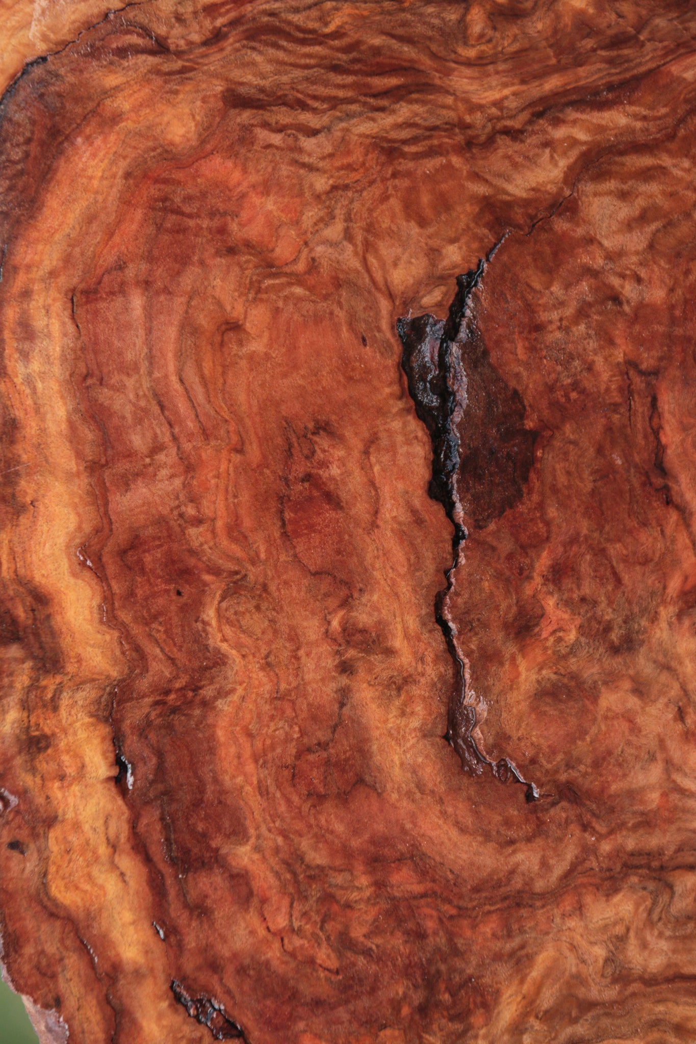 Red River Gum Burl Live Edge Lumber