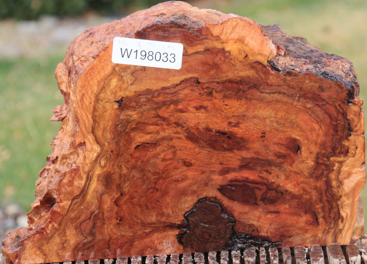 Red River Gum Burl Live Edge Lumber