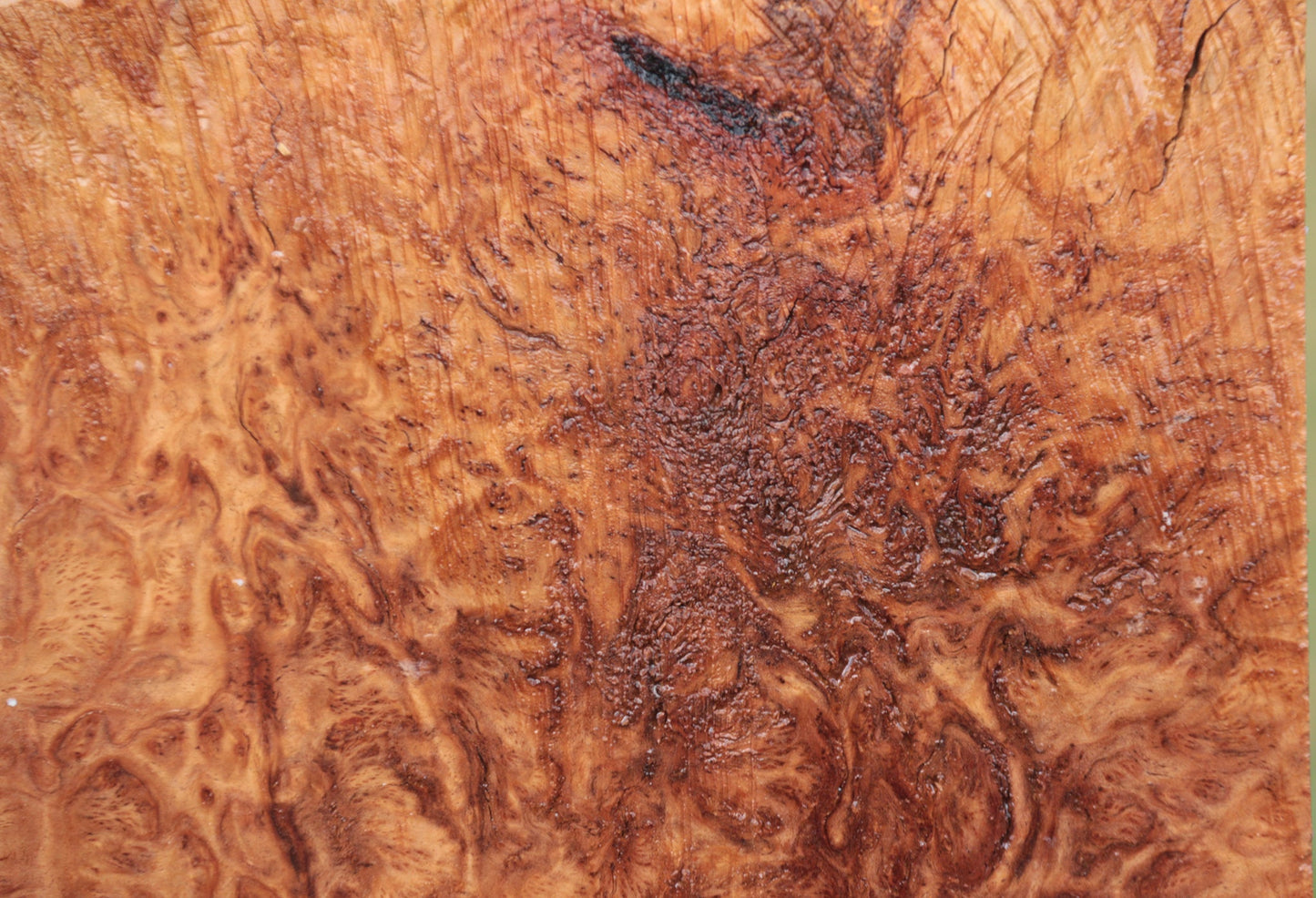 Exhibition Brown Mallee Burl Live Edge Lumber