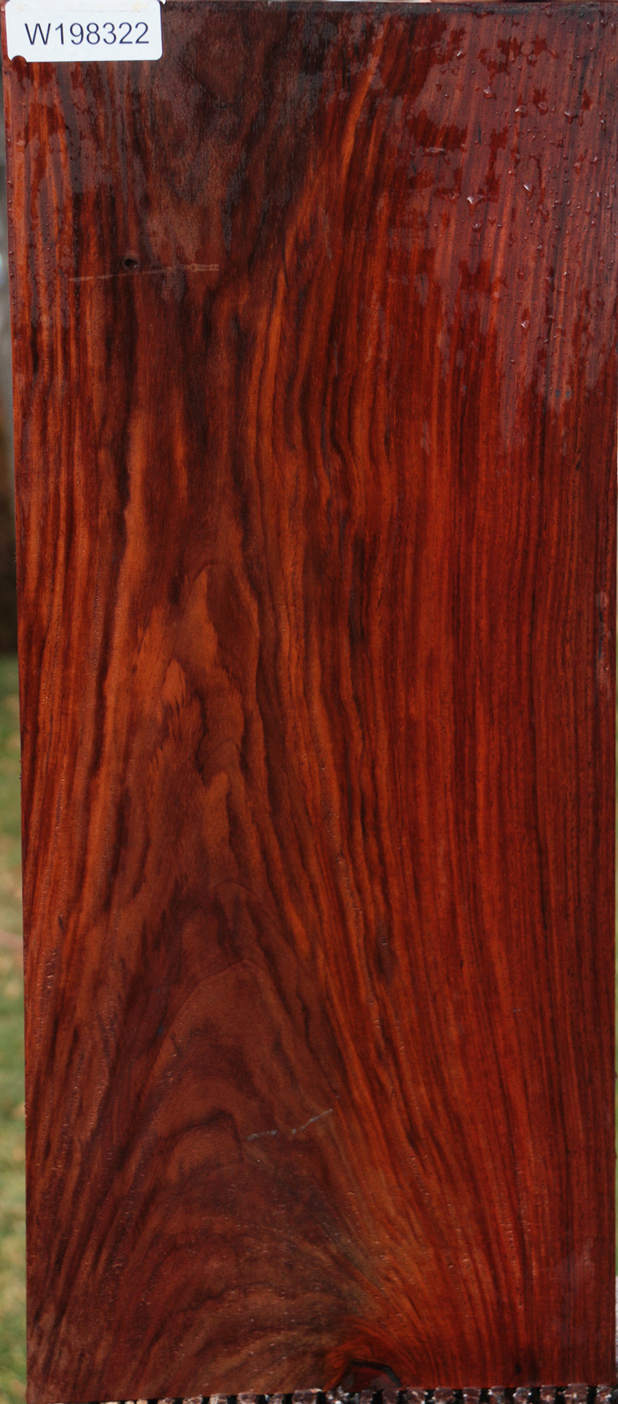 Cocobolo – Cook Woods