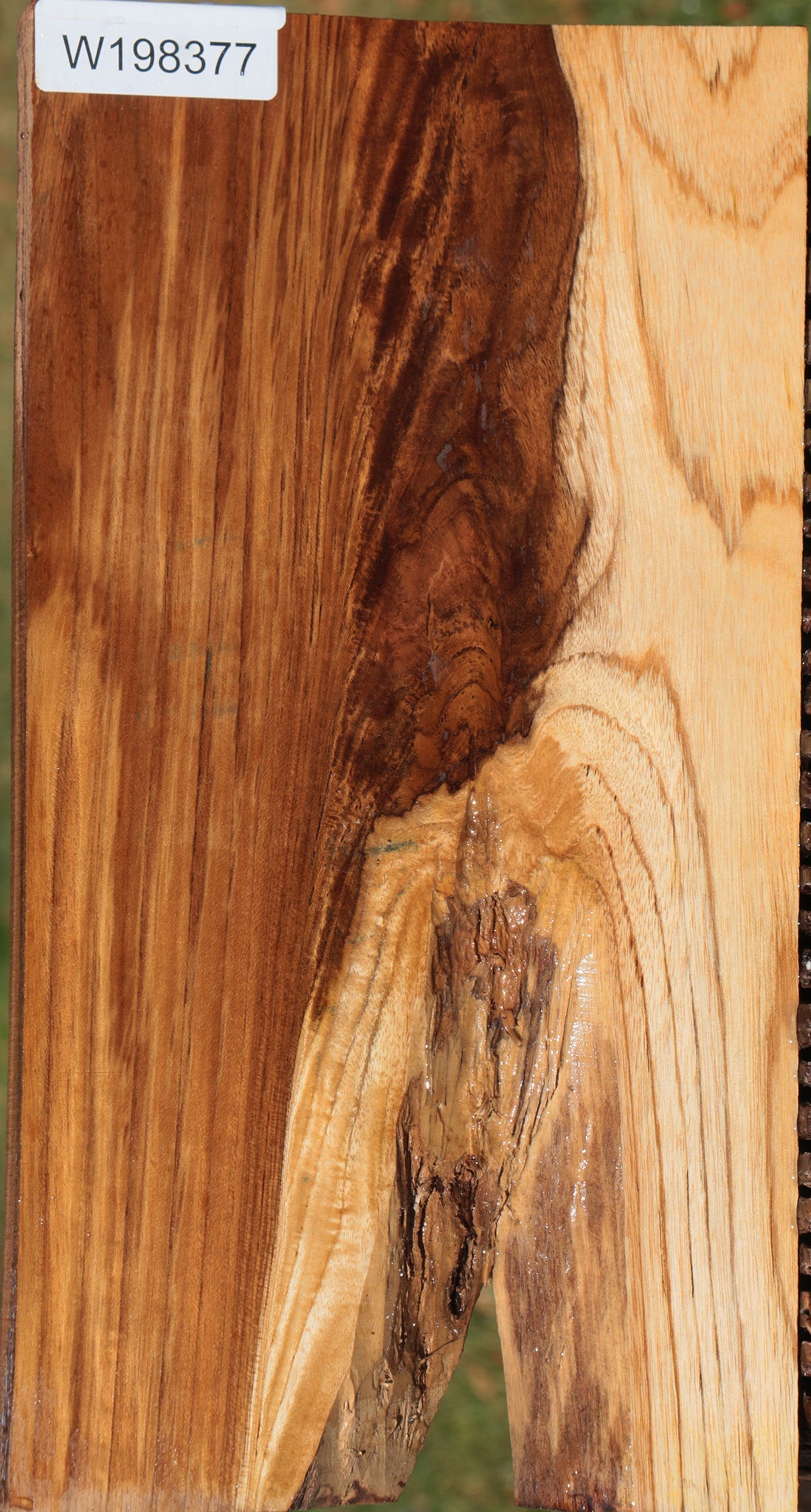 Figured Crotchwood Teak Lumber