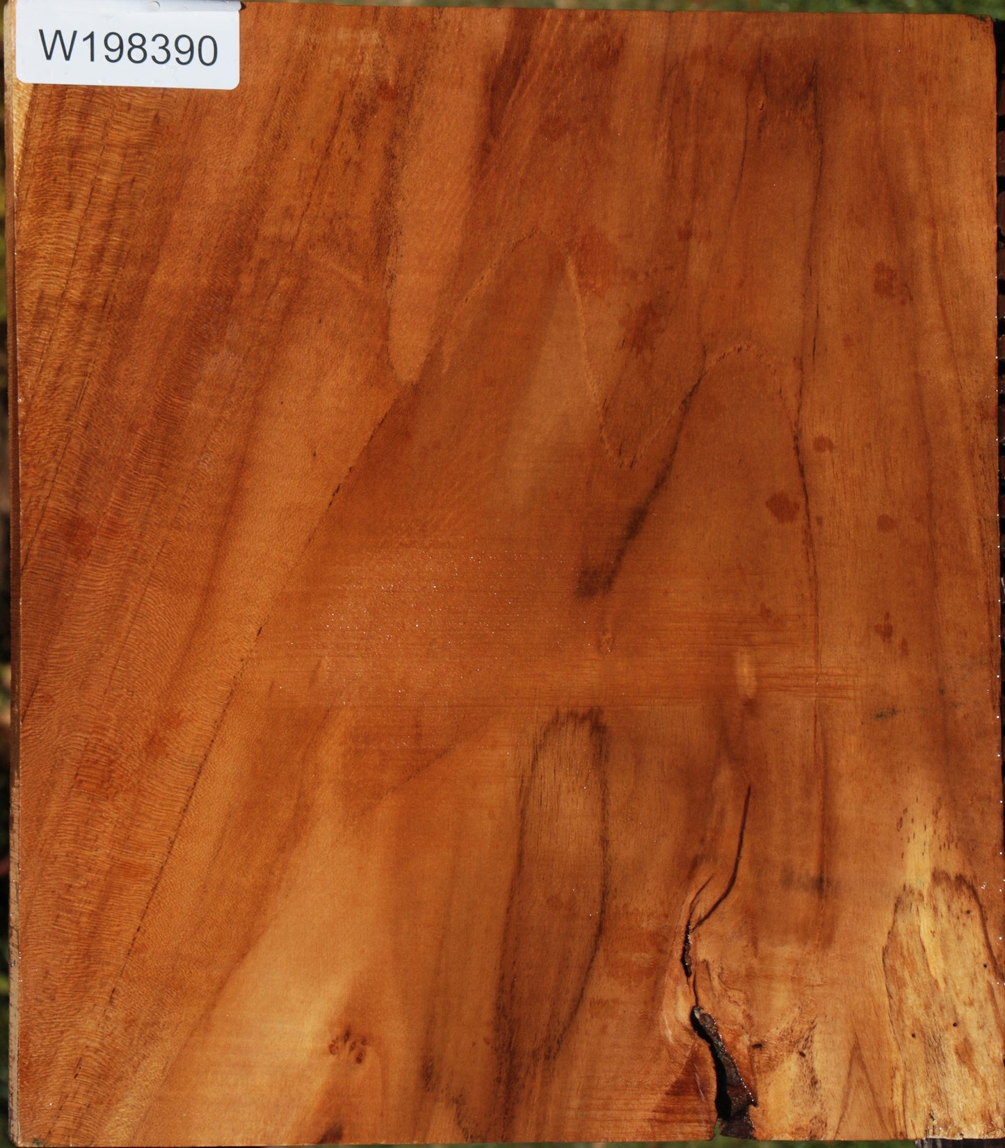 Teak Lumber