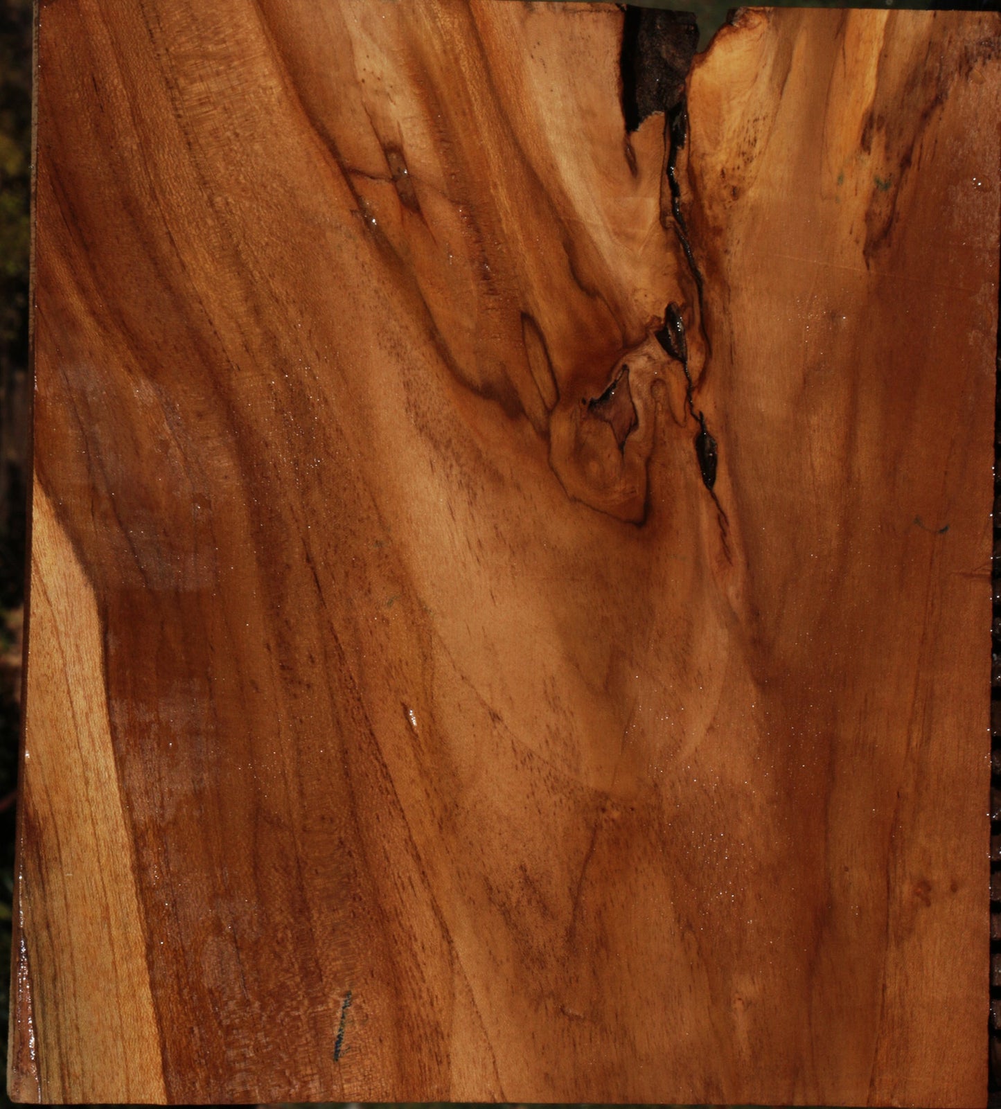 Teak Lumber