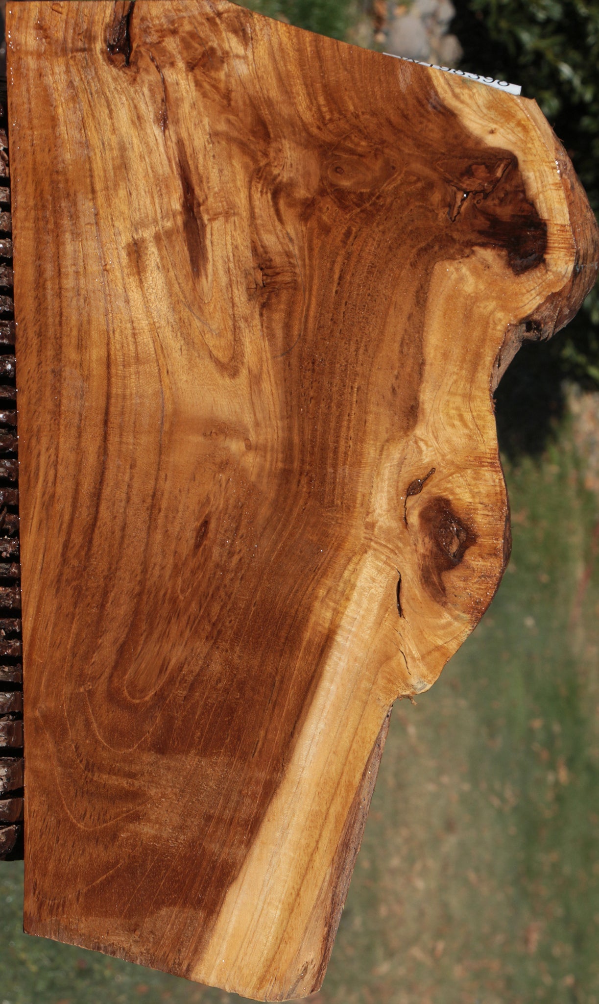 Figured Crotchwood Teak Live Edge Lumber