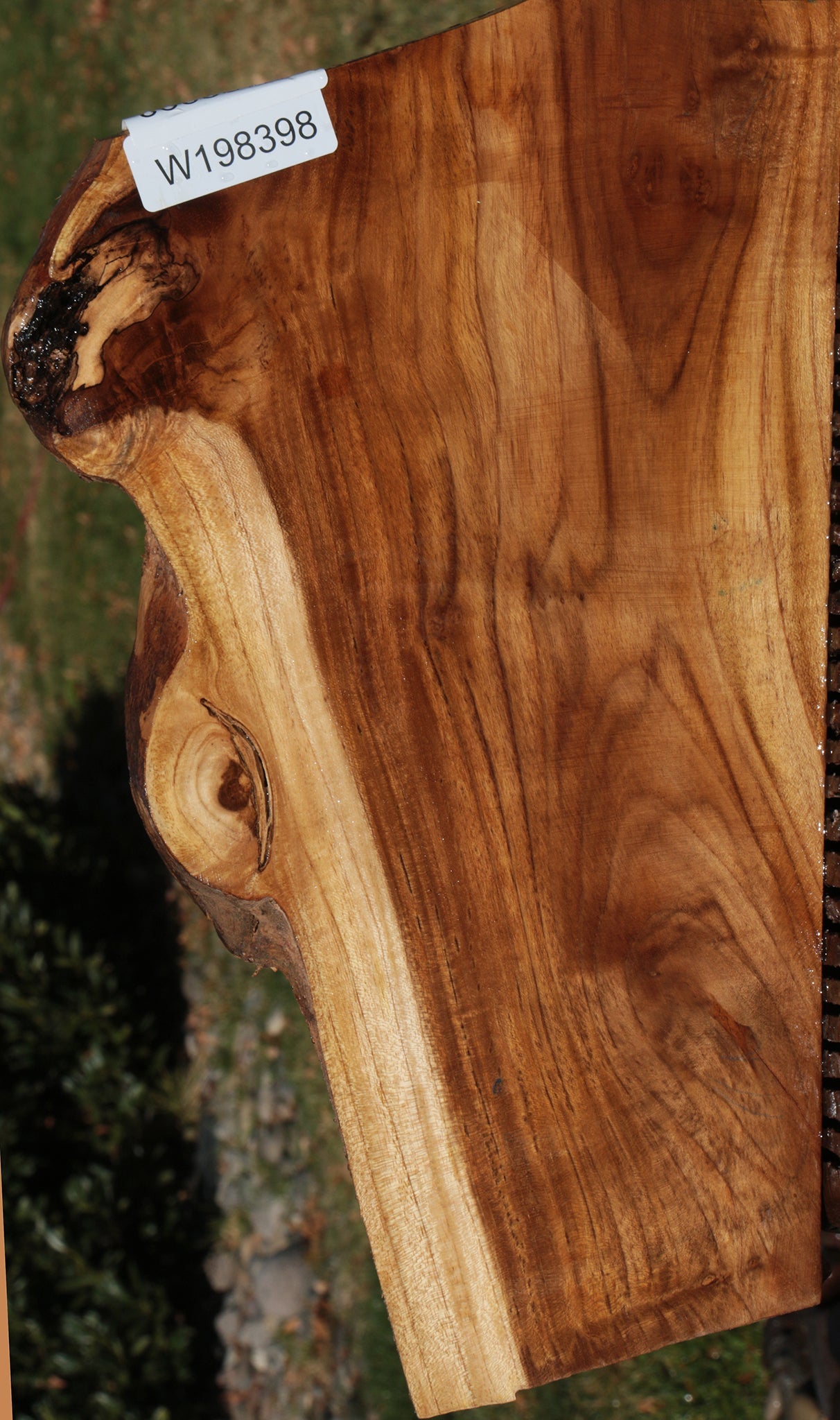 Figured Crotchwood Teak Live Edge Lumber