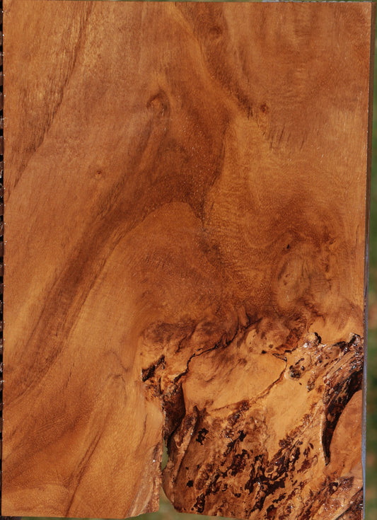 Teak Lumber